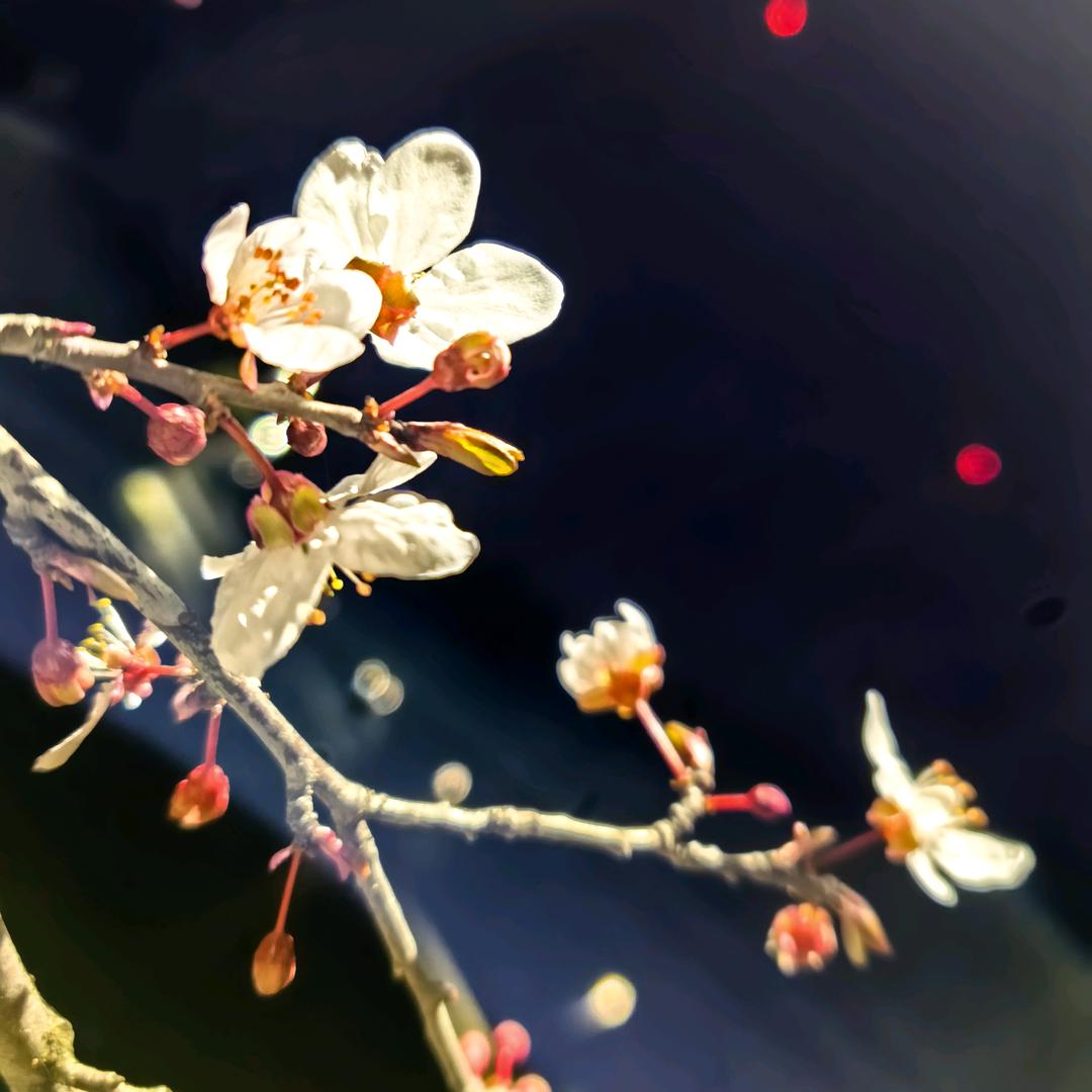 爱。 𝓼𝓽𝓻