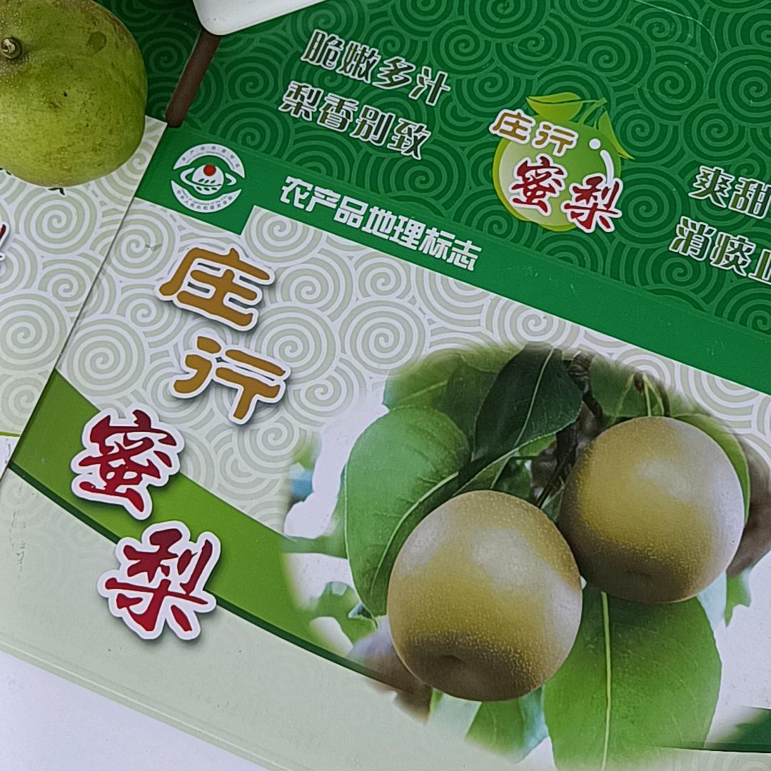 梨尚往来 云磊梨园