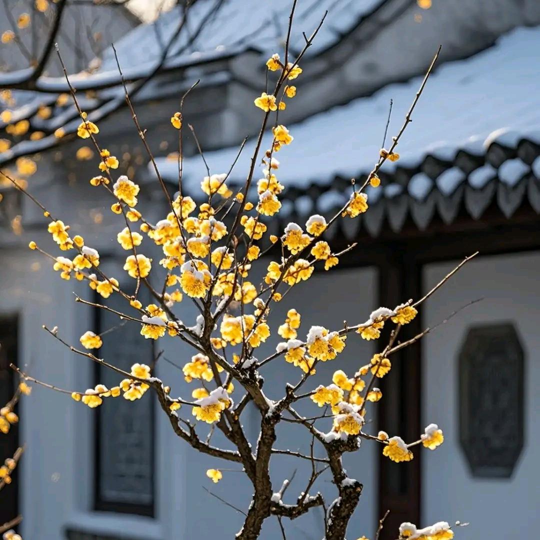 康健好物优选