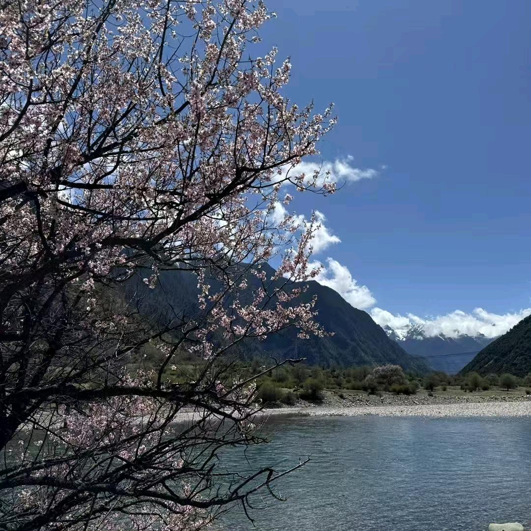 感恩