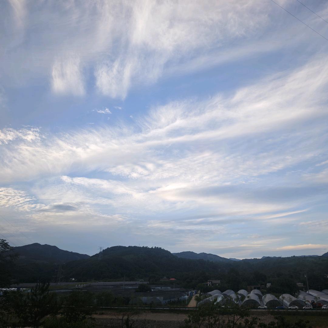 洛南县贝壳鲜果