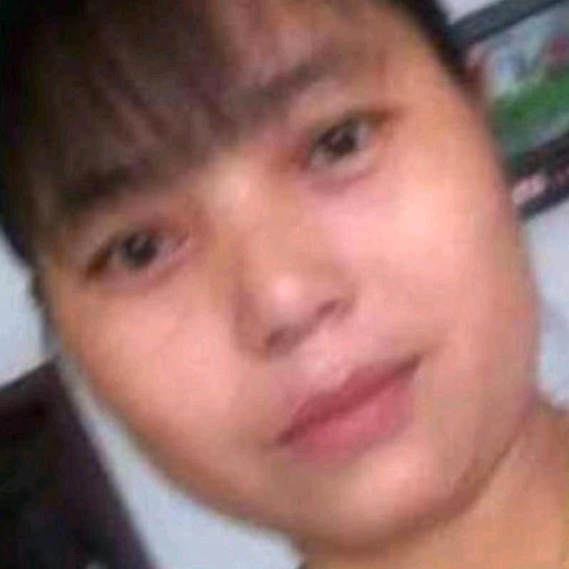小燕子，