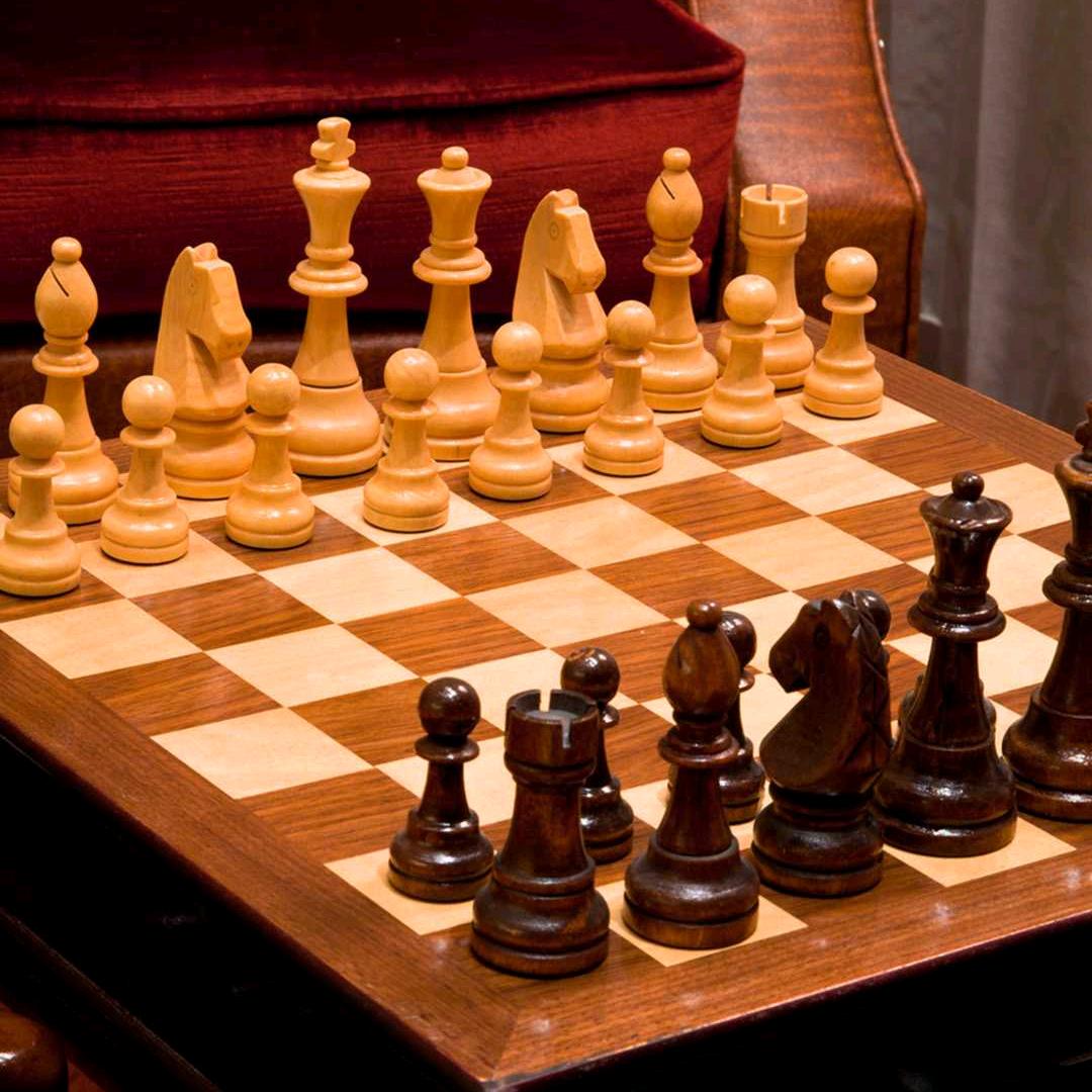 派大星的海绵宝宝