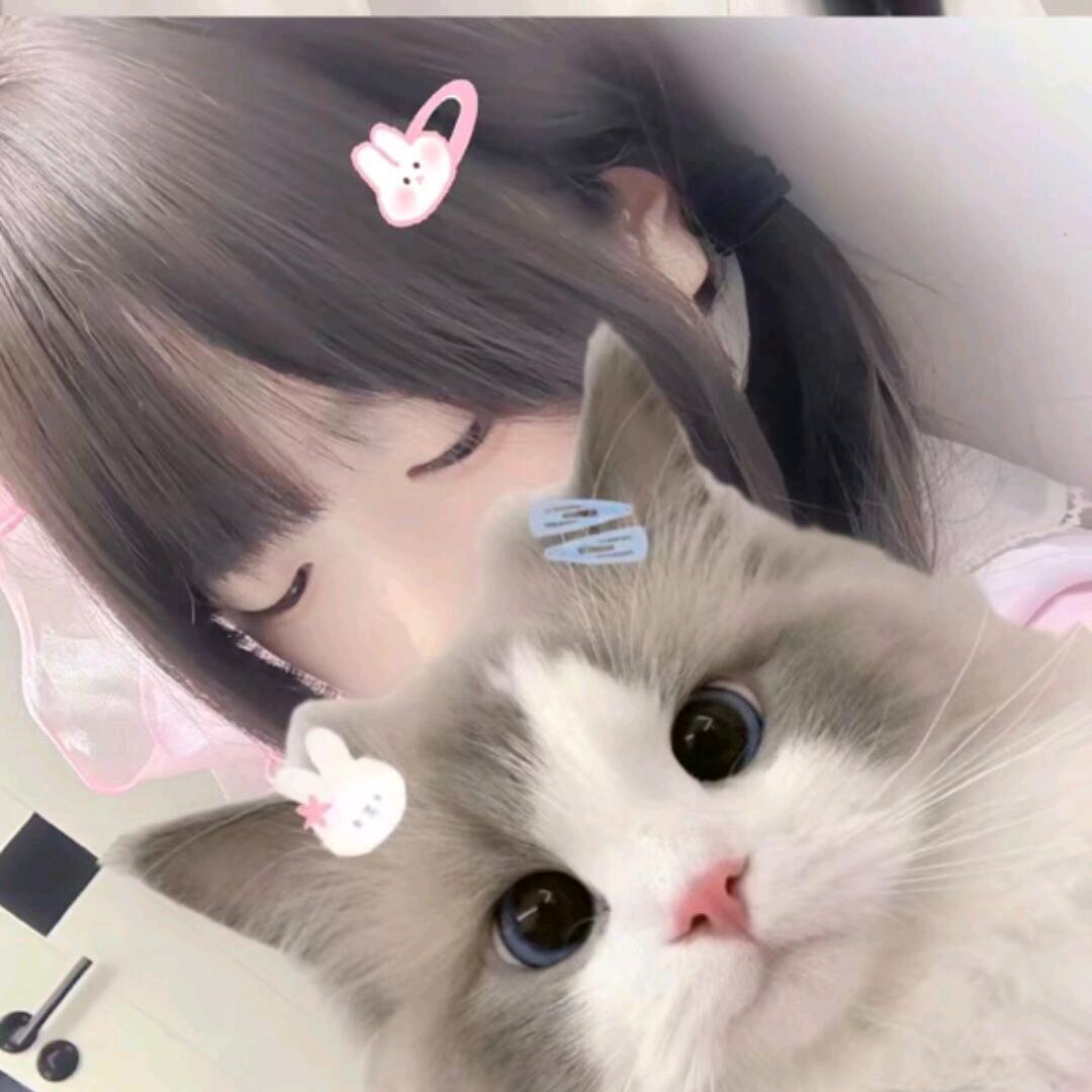 狗雀王