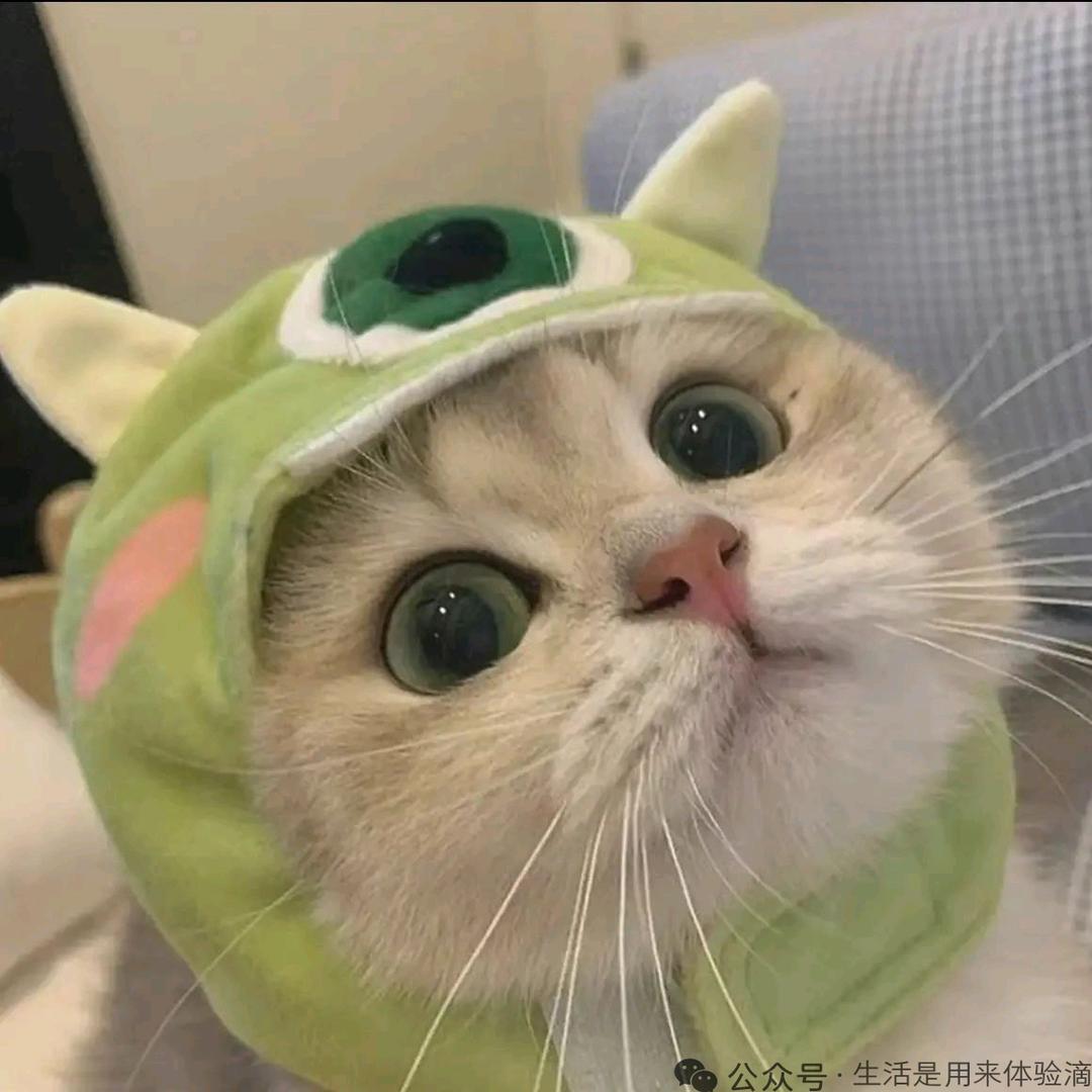 哆啦A梦不做梦