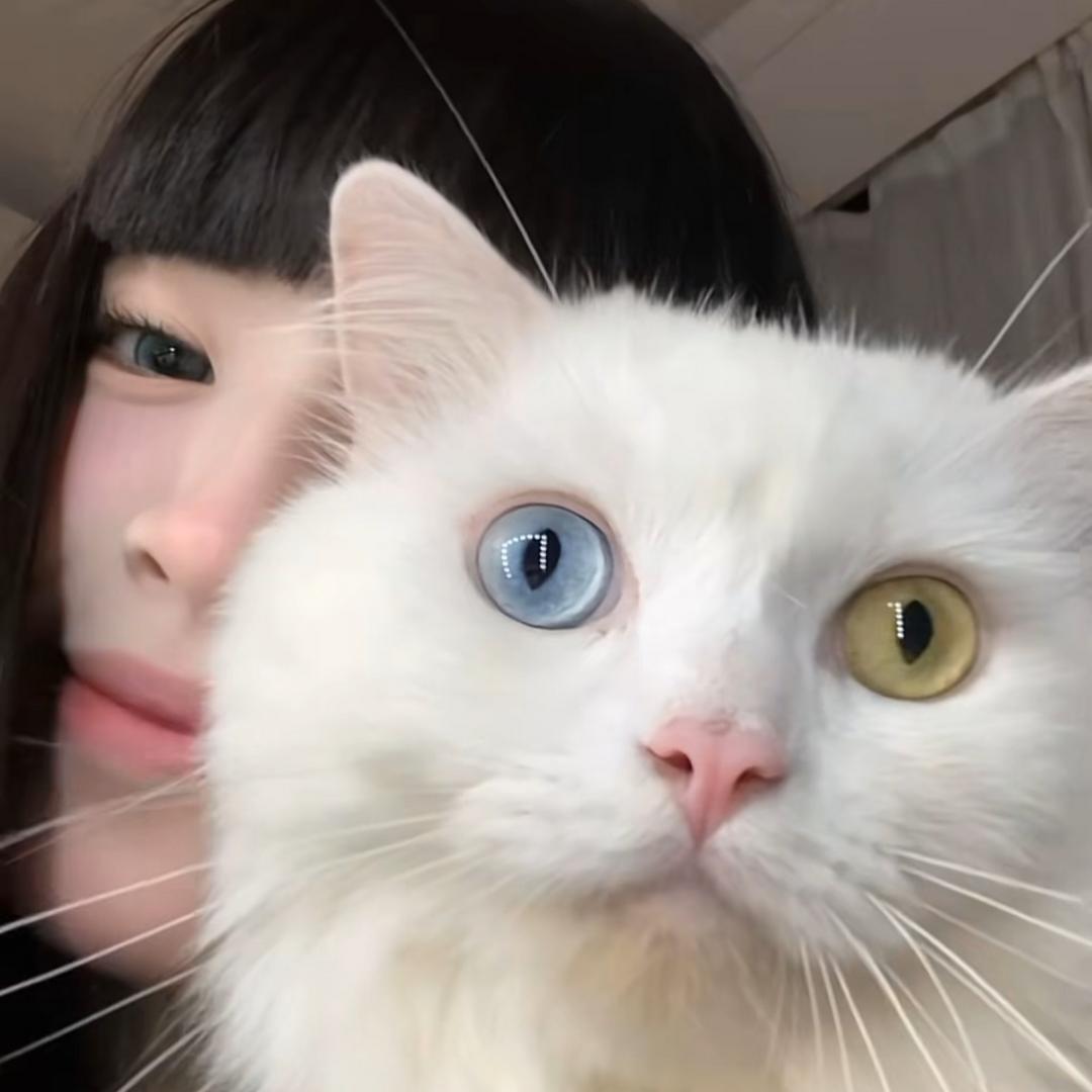 小肥羊