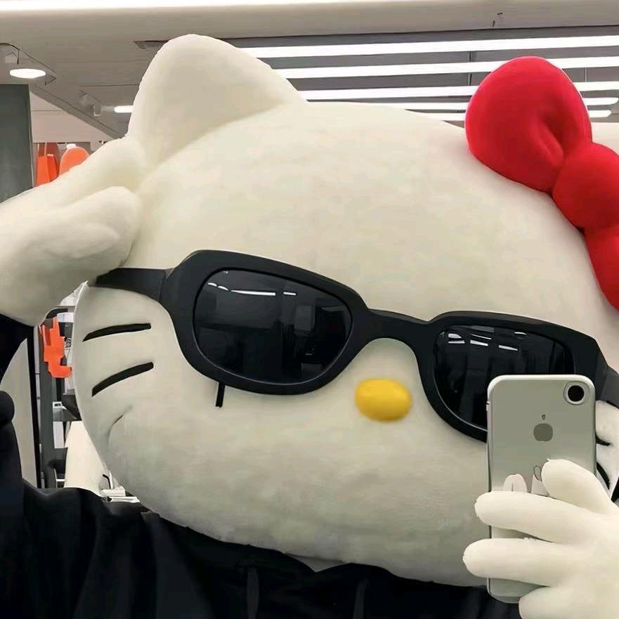 🐈‍⬛‧₊˚⋆