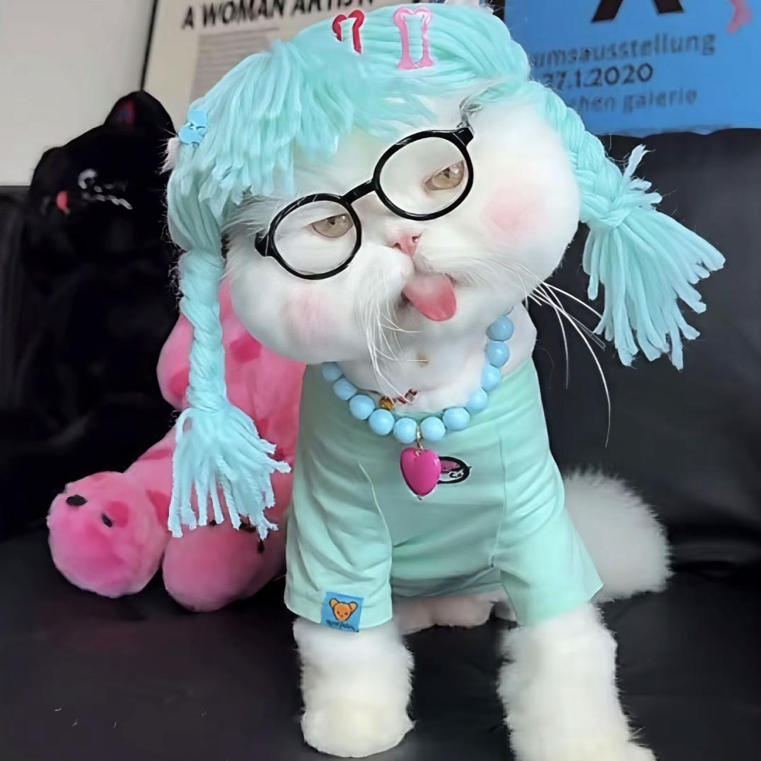 小杜小杜