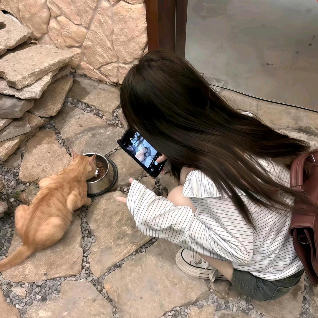 👑女装服饰衣橱👗