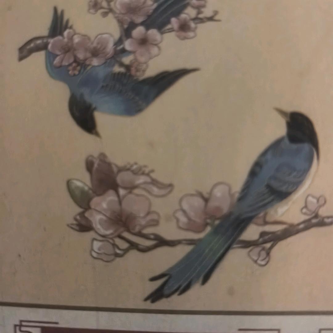 孤狼