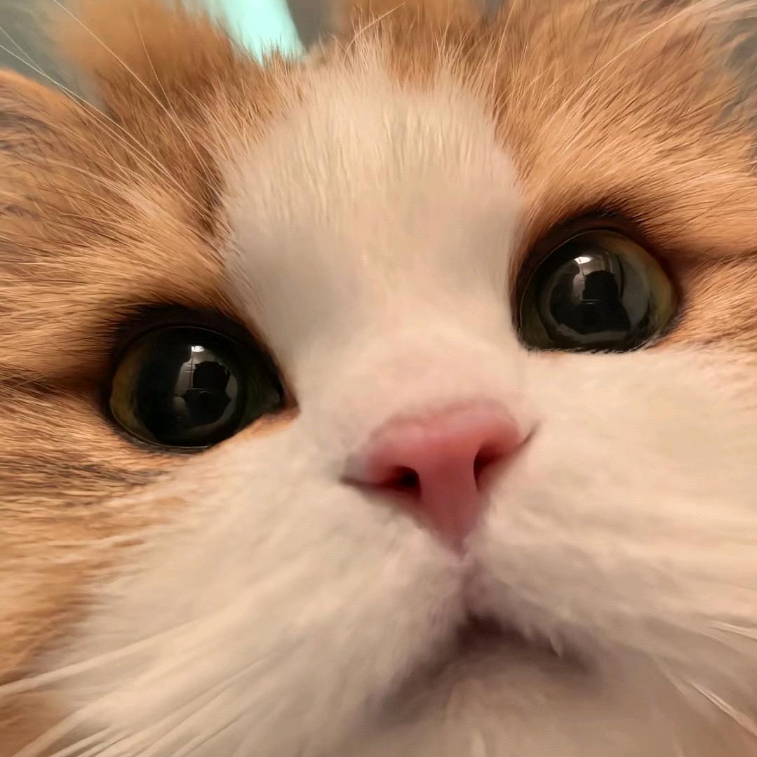 Aimpro7（无畏契约）