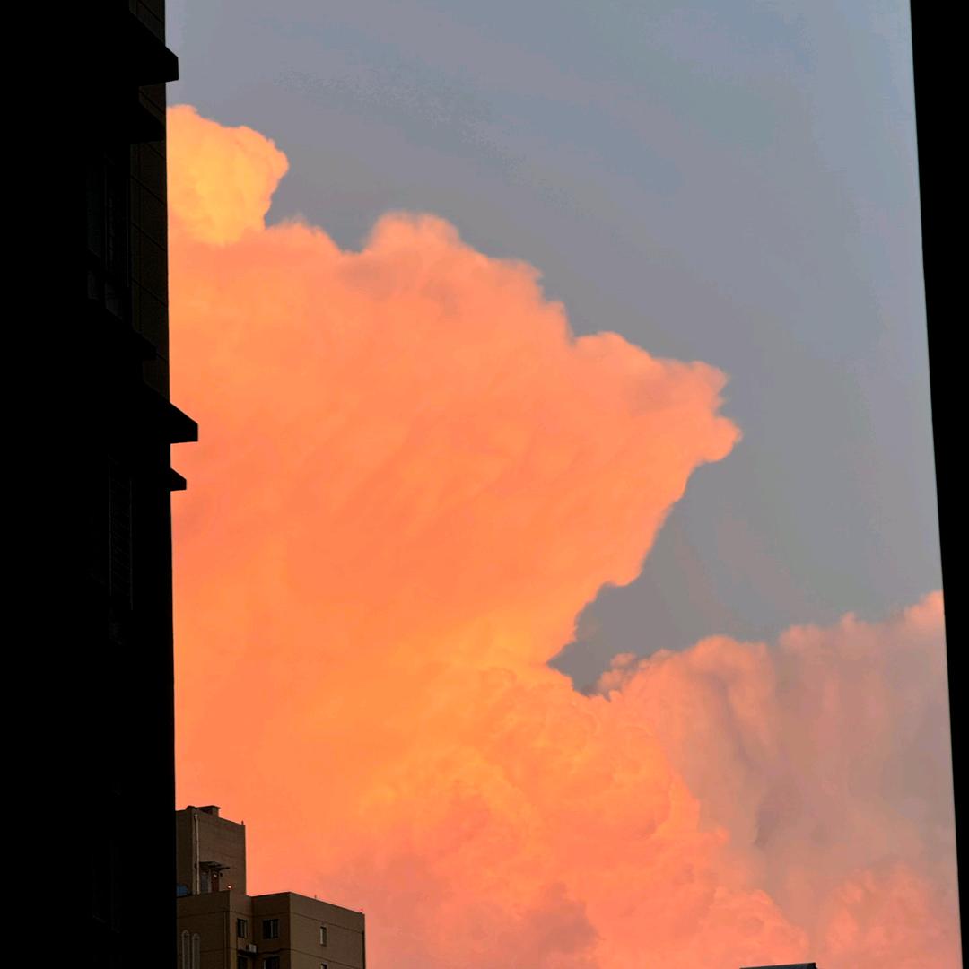 卖手机的小姐姐