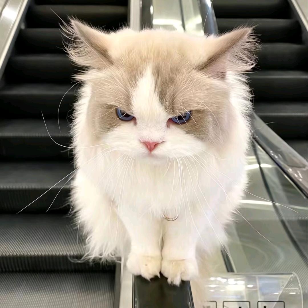睡不醒👀