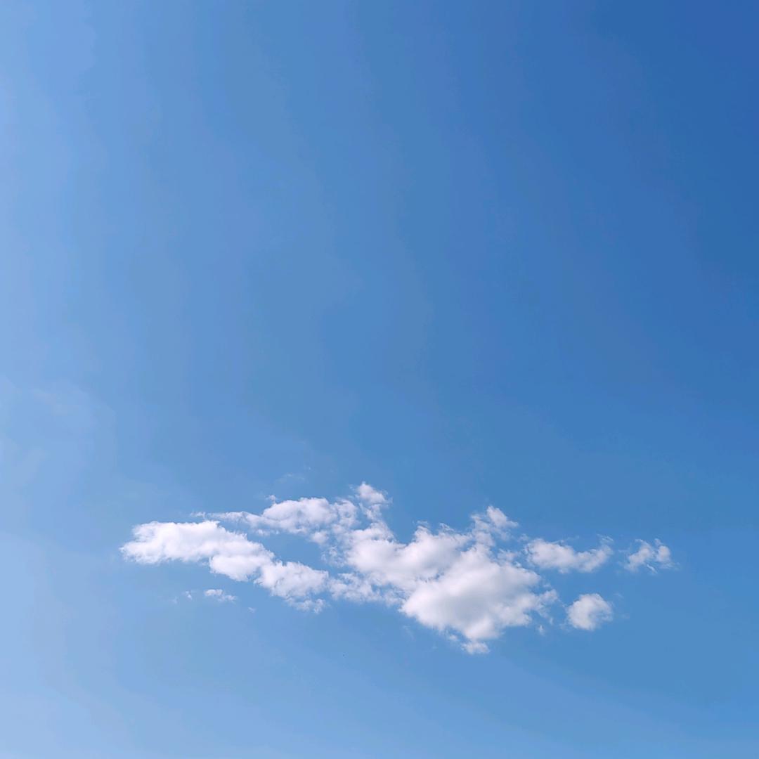 招财进宝