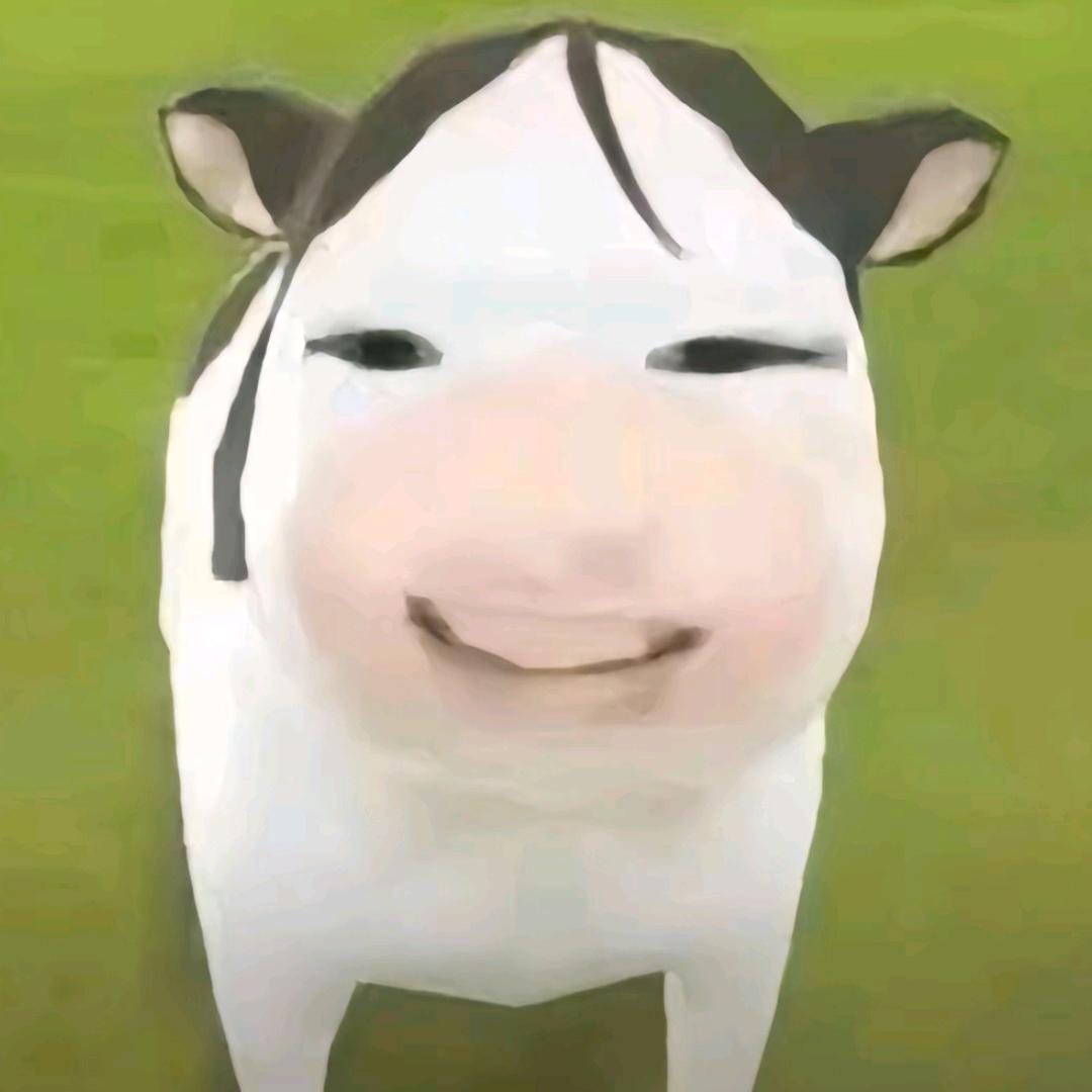 骑异果A11🚳
