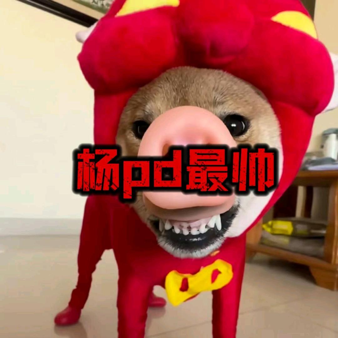 琪啊✨