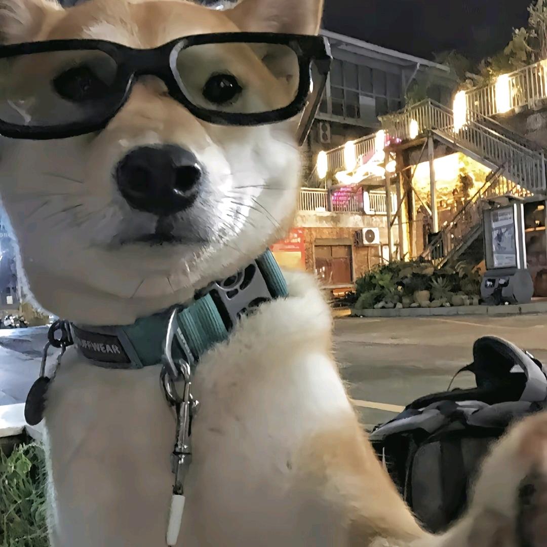 待会去码头整点薯条