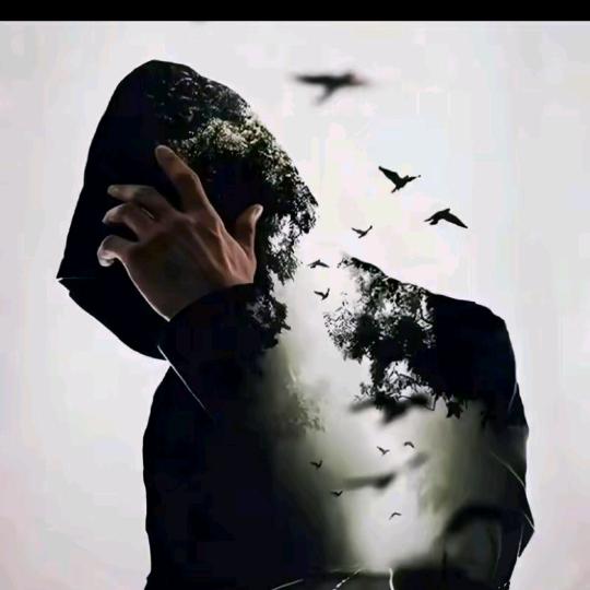 故事缺酒，也缺你