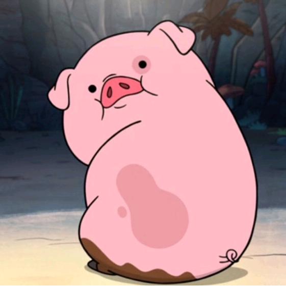 猪多余🐷