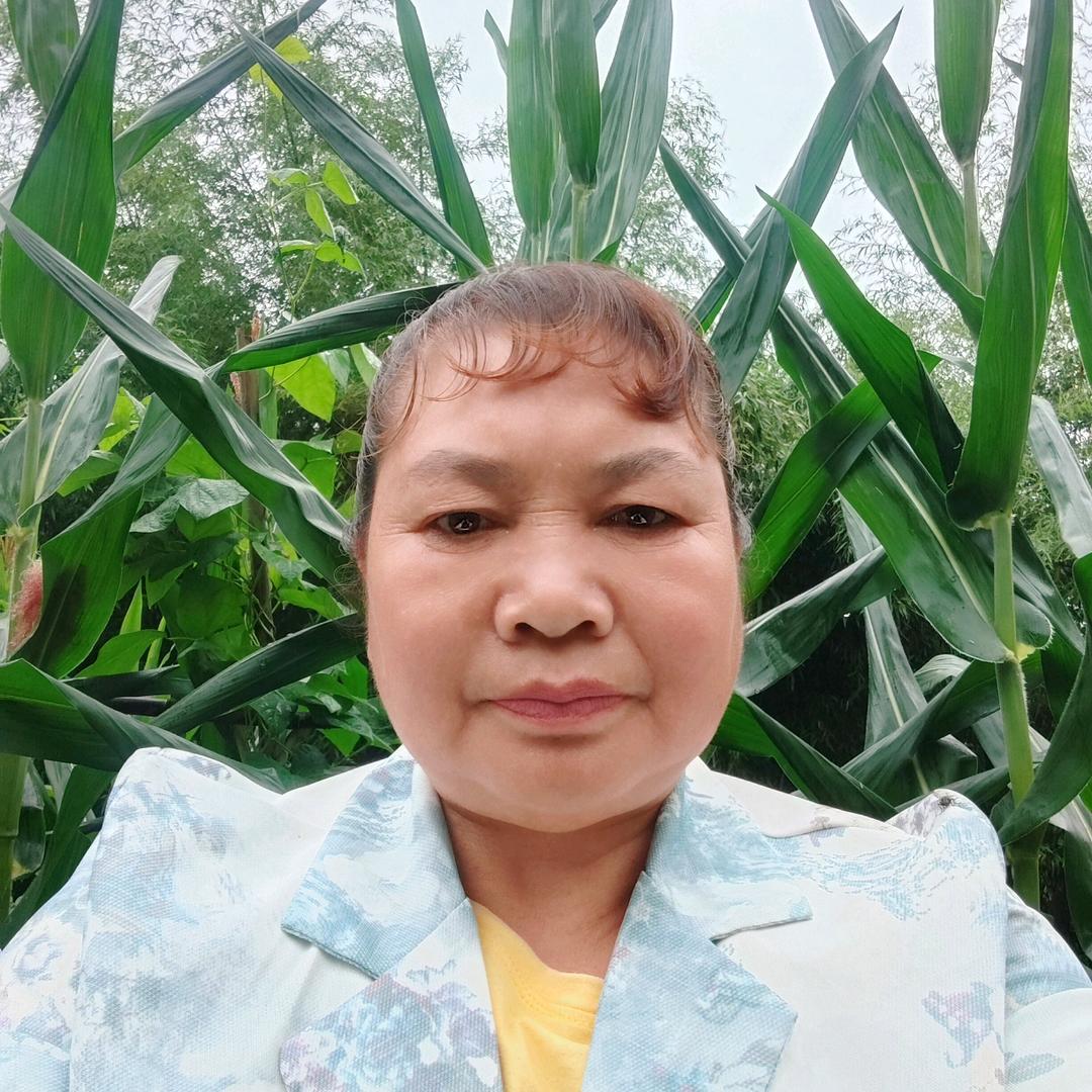 曹姐