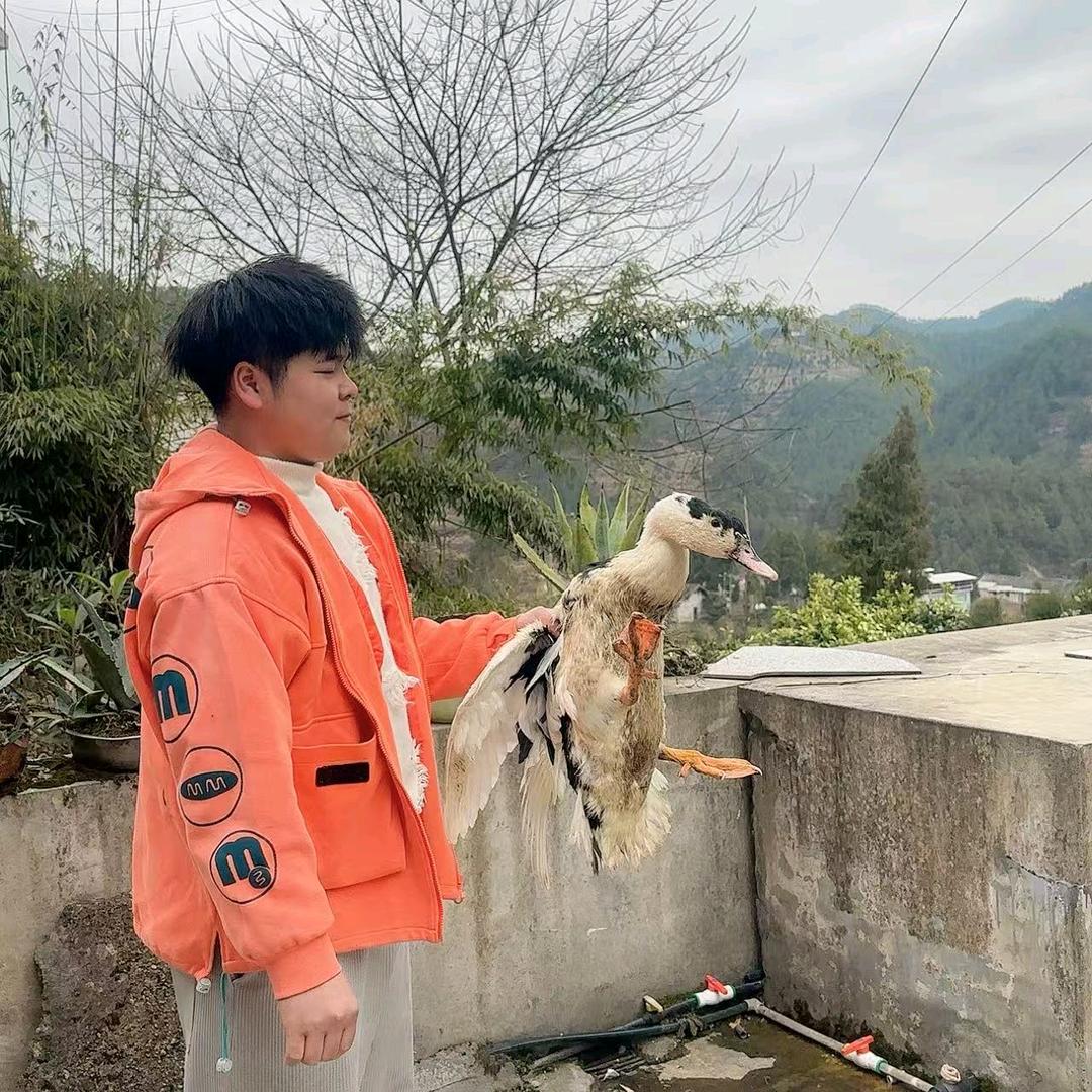 快刀小胖墩
