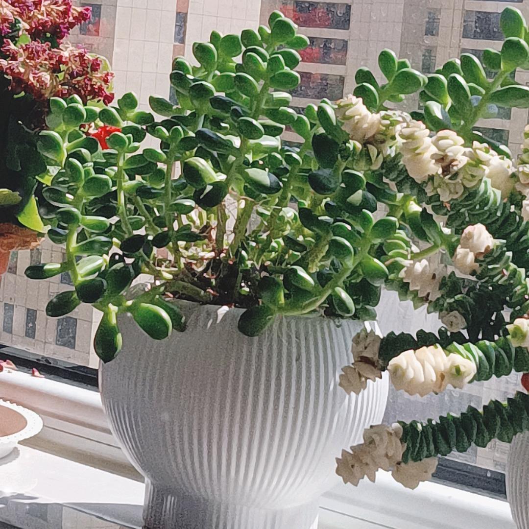 不妥百货店爆爆