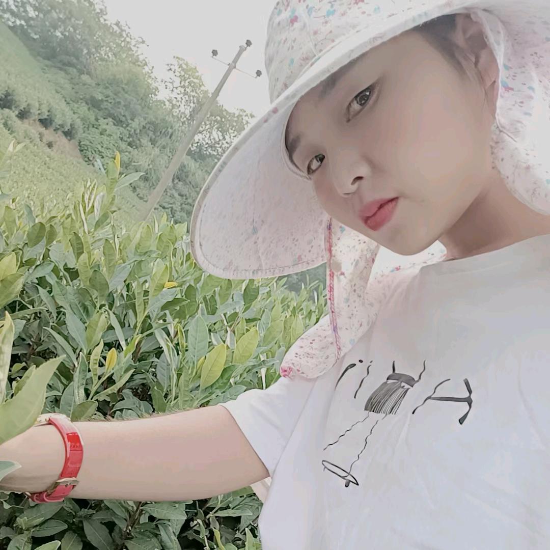 诺宝（关必回）