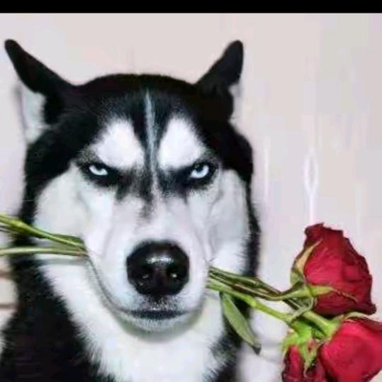 ███████████████