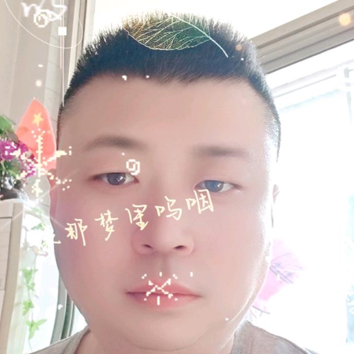 自由飞翔