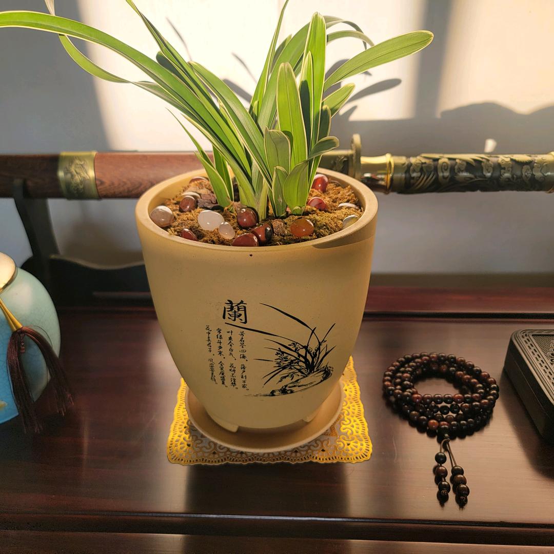 宁静致远～淡 📷