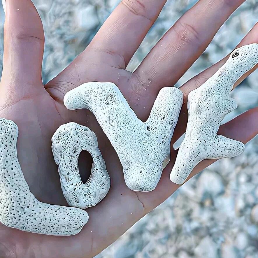 ℘࿐ᩚ赖🍭你一辈子℘࿐ᩚ