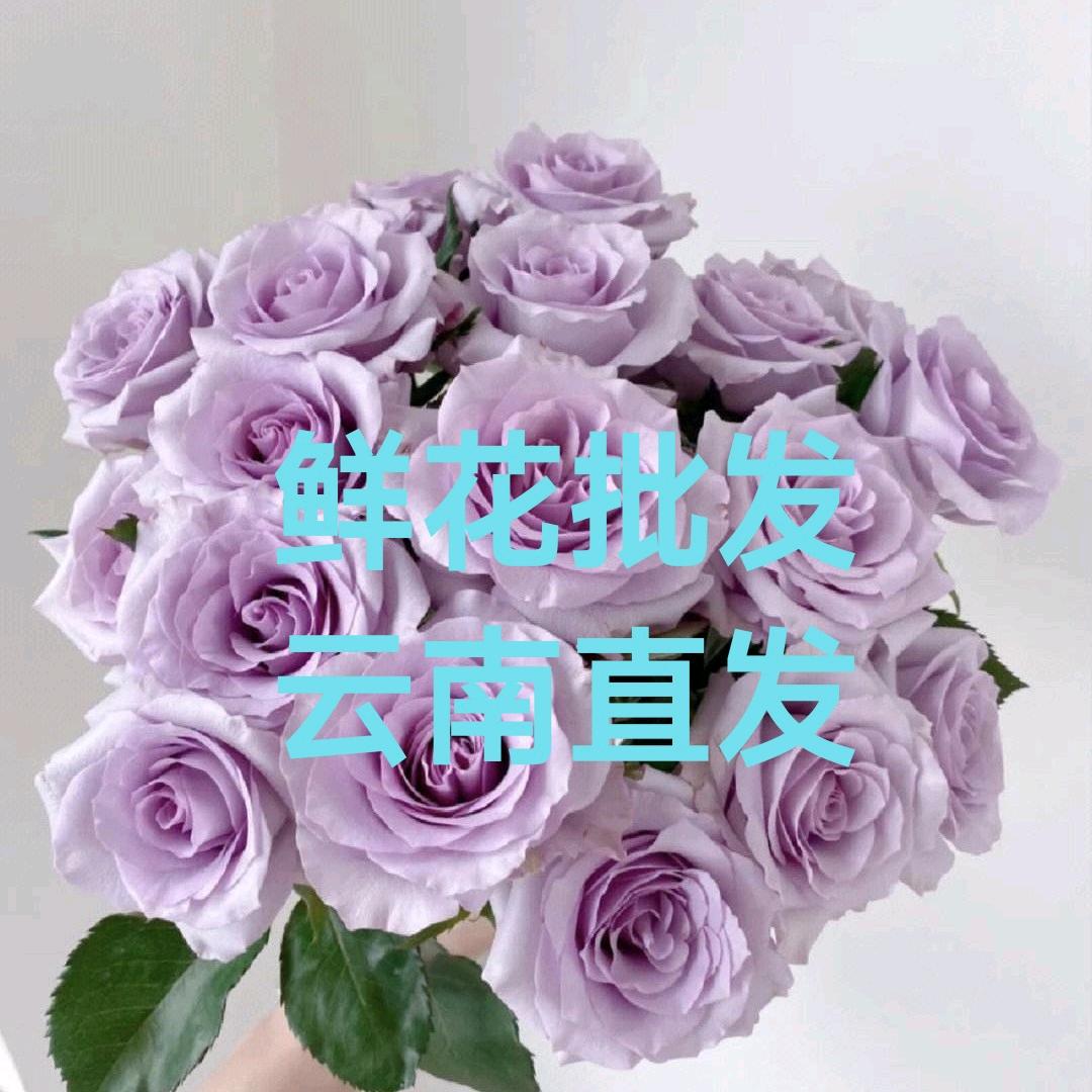 云花之滇《鲜花大件批发》