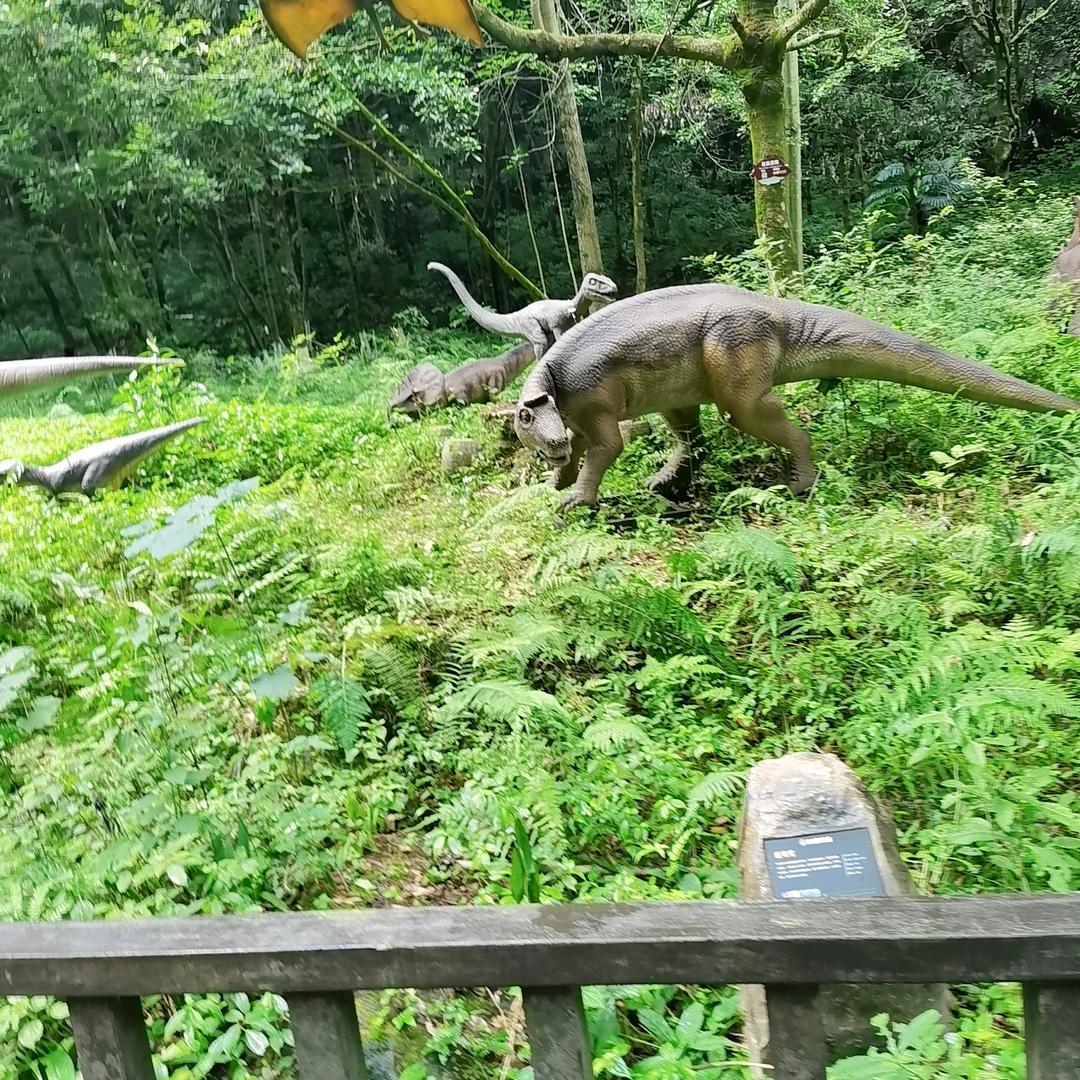 执着，执着