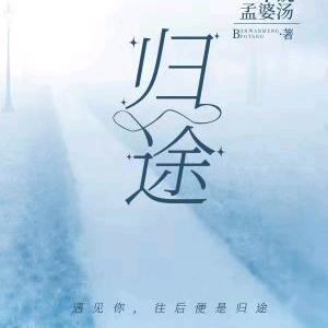 流浪的小猪g