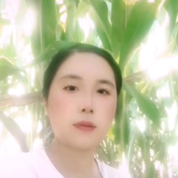 一生平安