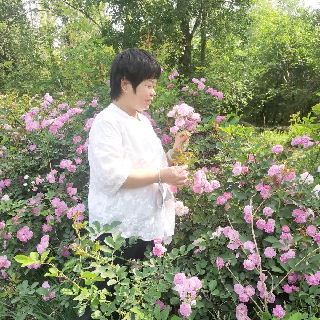 蓉儿