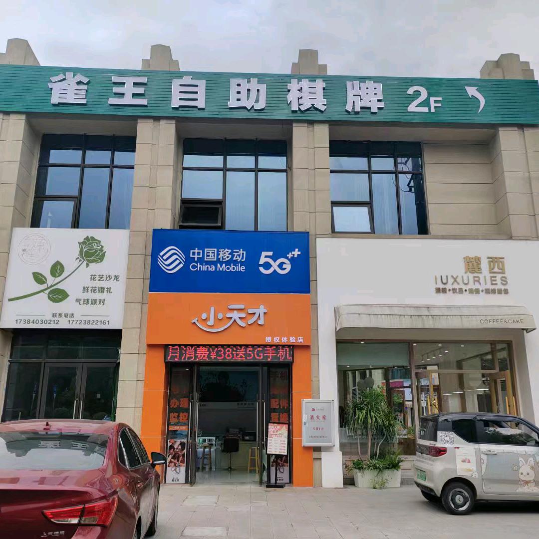 中国移动（碧桂园云樾府小天才授权店）