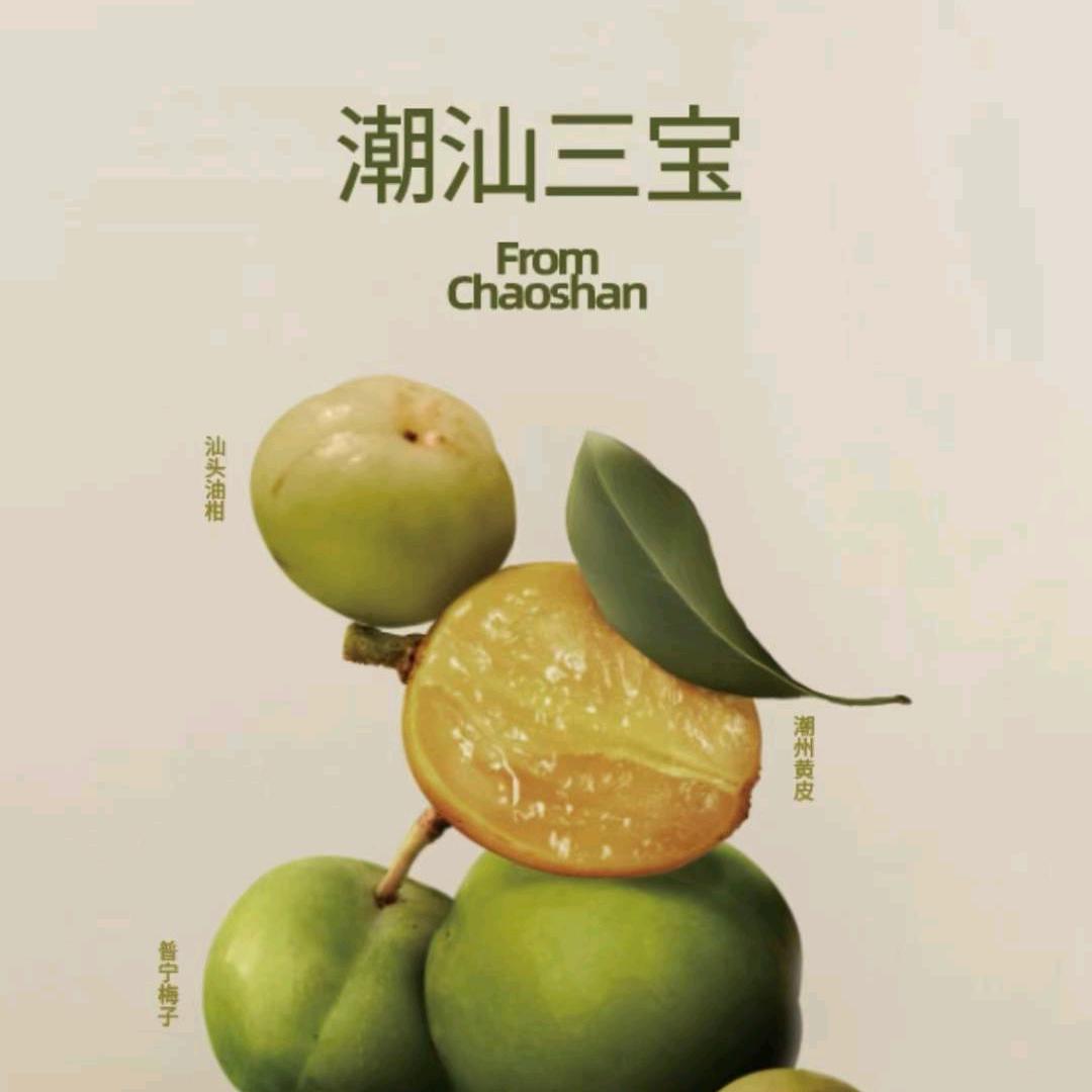 茶月山·潮汕茶店(潘州广场店)专用号