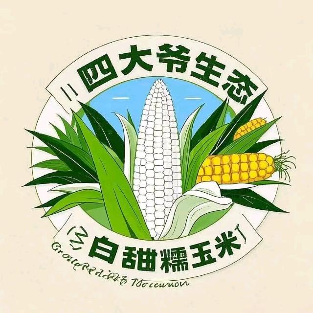 全国鲜食玉米种植回收
