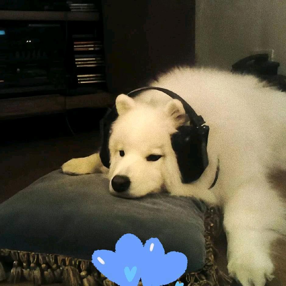 醋栗纳纳鸭₍˄·͈༝·͈˄*₎◞ ̑̑