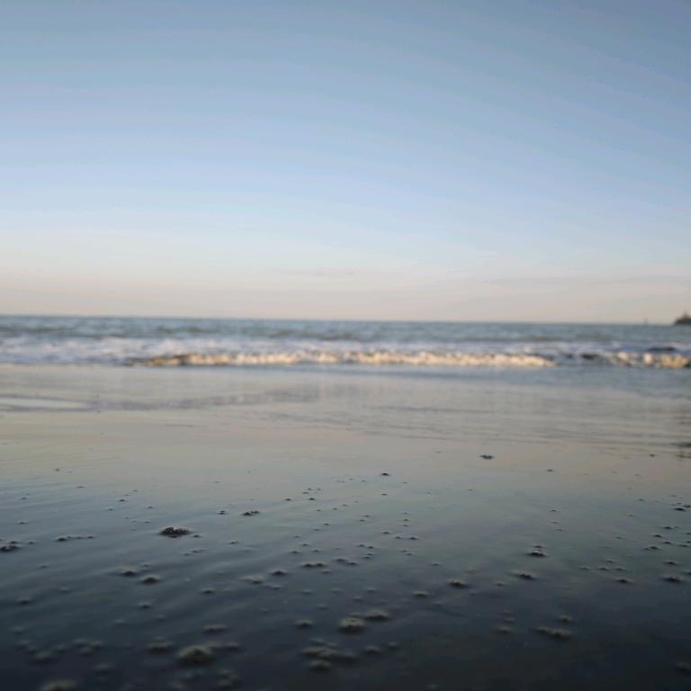 小白与老爹（老白与小爹）