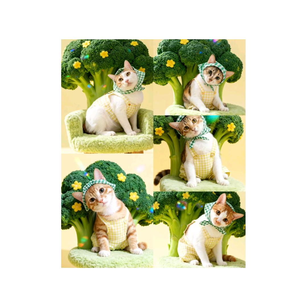 黄条子橙橙和它的姐姐们