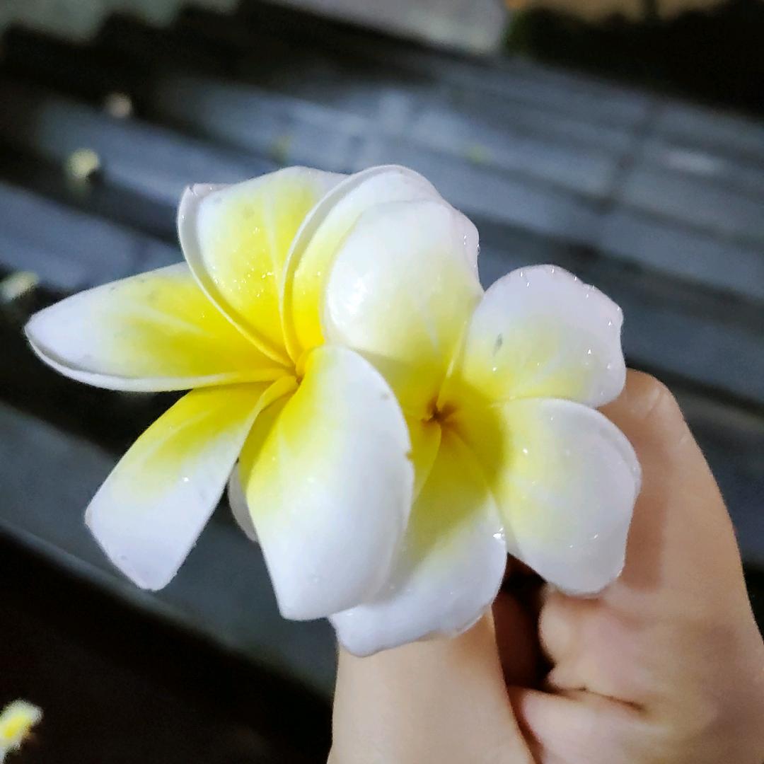 就是这么吊