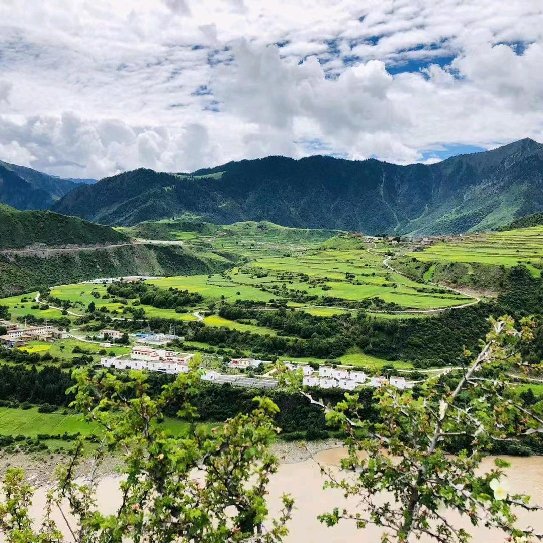 边坝县沙丁乡沙丁村农牧民合作社