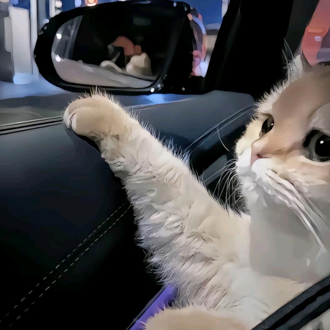 椿禾