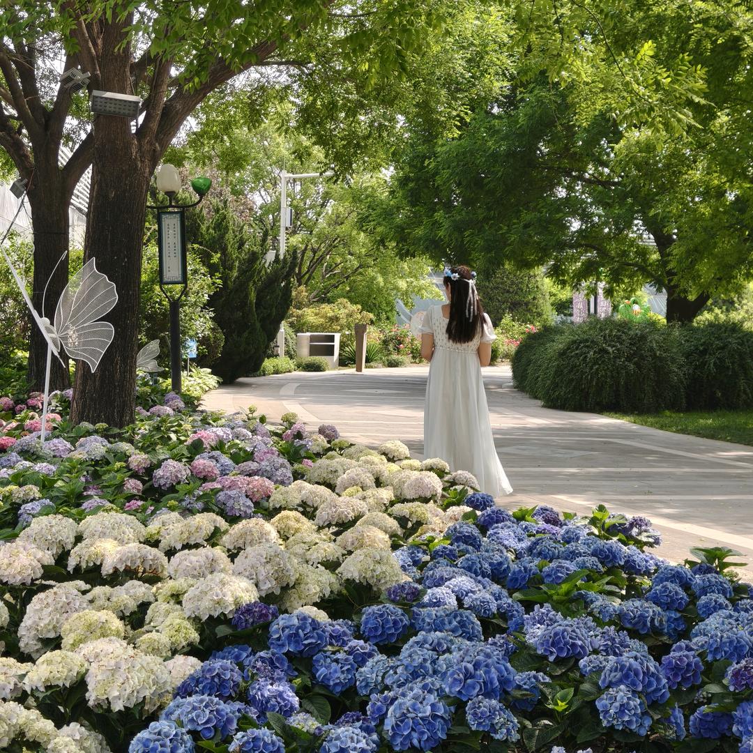 ˚₊‧꒰ა 乐☆意 ໒꒱ ‧₊˚