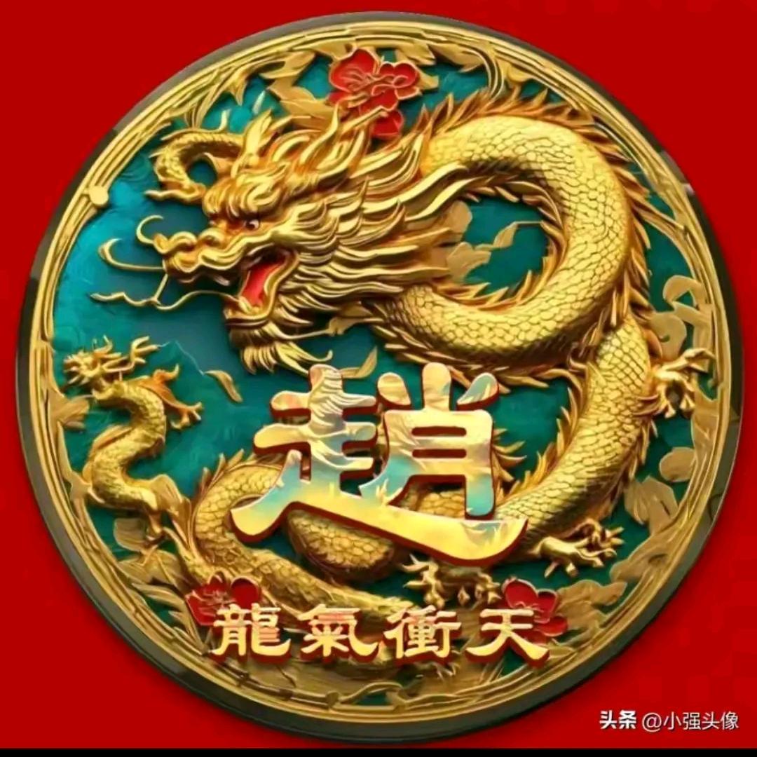 赵财进宝💰