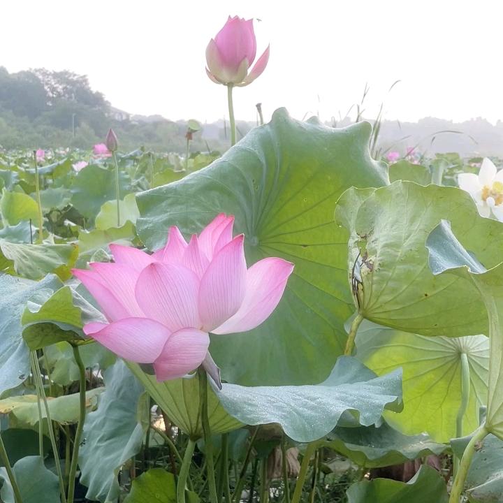 我的世界