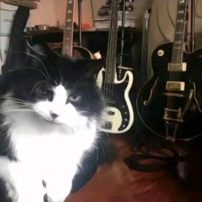 收藏店铺送烤肠