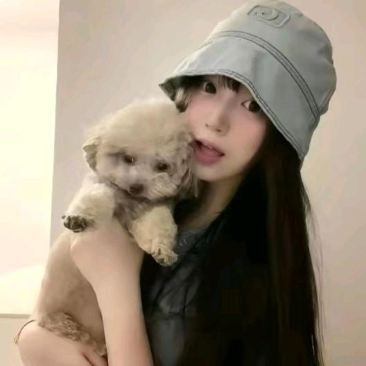 情绪😴